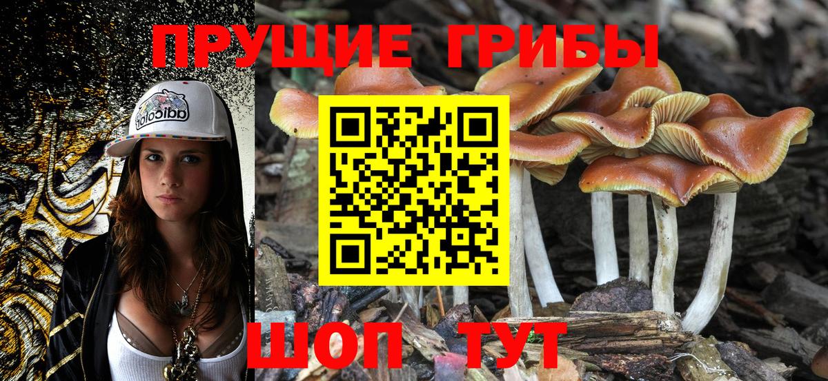 Галлюциногенные грибы мухоморы  Вход с VPN  Галлюциногенные грибы мухоморы  Миасс 
