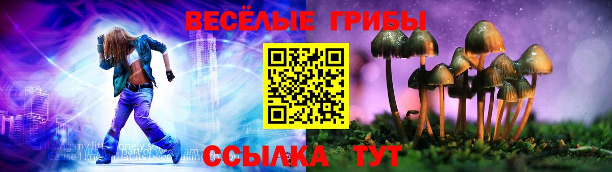 Псилоцибиновые грибы прущие грибы Миасс